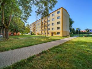 Prodej bytu 2+1, Ostrov, Severní, 55 m2