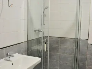 Pronájem bytu 1+kk, Olomouc, Janského, 35 m2