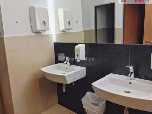 Pronájem kanceláře, Praha, Žerotínova, 48 m2