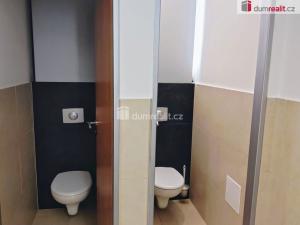 Pronájem kanceláře, Praha, Žerotínova, 48 m2