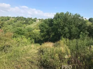 Prodej zahrady, Kobeřice u Brna, 2052 m2