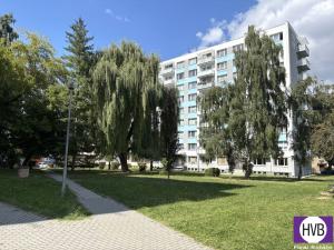 Prodej bytu 4+1, Písek, 17. listopadu, 79 m2