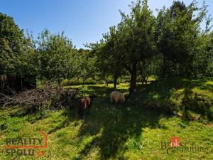 Prodej rodinného domu, Všepadly, 92 m2
