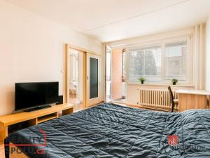 Pronájem bytu 3+1, Brno - Řečkovice, Žitná, 65 m2