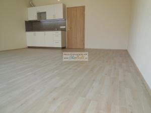 Pronájem bytu 1+kk, Brno - Slatina, Tilhonova, 30 m2