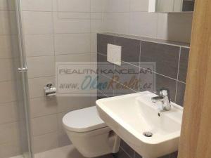 Pronájem bytu 1+kk, Brno - Slatina, Tilhonova, 30 m2