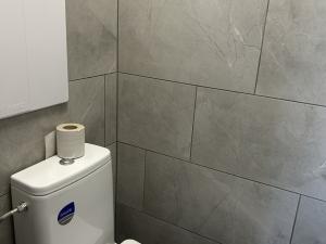 Pronájem bytu 1+1, Lázně Bohdaneč, Na Lužci, 45 m2