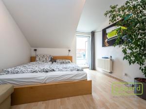 Pronájem bytu 3+kk, Brandýs nad Labem-Stará Boleslav - Brandýs nad Labem, Vrábská, 51 m2