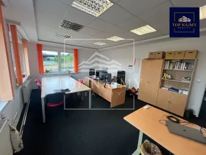 Pronájem kanceláře, Ostrava, Opavská, 80 m2