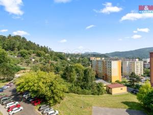 Prodej bytu 2+kk, Ústí nad Labem - Krásné Březno, Žežická, 47 m2