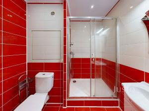 Pronájem bytu 2+kk, České Budějovice - České Budějovice 2, N. Frýda, 46 m2