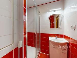 Pronájem bytu 2+kk, České Budějovice - České Budějovice 2, N. Frýda, 46 m2