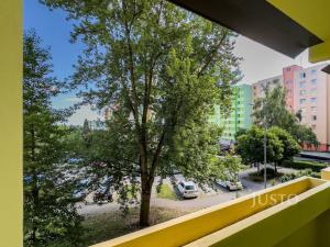 Pronájem bytu 2+kk, České Budějovice - České Budějovice 2, N. Frýda, 46 m2