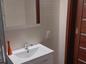 Pronájem bytu 2+kk, Ostrava - Poruba, Jana Ziky, 40 m2