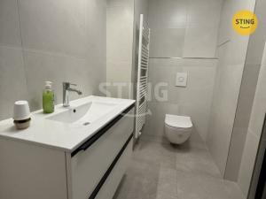 Pronájem bytu 2+kk, Olomouc, Dobrovského, 65 m2