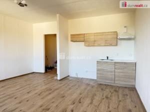Pronájem bytu 1+kk, Ústí nad Labem, Dukelských hrdinů, 31 m2
