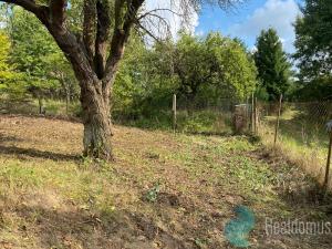 Prodej pozemku pro bydlení, Nová Ves pod Pleší, 680 m2