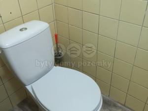 Pronájem bytu 1+kk, Příbram - Příbram VIII, Budovatelů, 20 m2