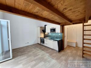 Pronájem bytu 1+kk, Opava - Předměstí, Nákladní, 32 m2