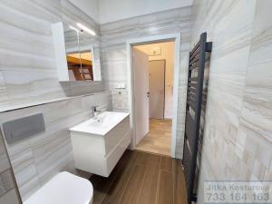 Pronájem bytu 1+kk, Opava - Předměstí, Nákladní, 32 m2