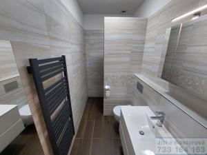 Pronájem bytu 1+kk, Opava - Předměstí, Nákladní, 32 m2