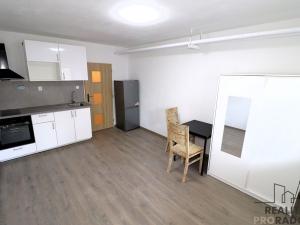 Pronájem bytu 1+kk, Brno - Staré Brno, Jircháře, 25 m2