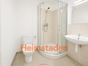 Pronájem bytu 1+1, Havířov - Šumbark, Opletalova, 28 m2