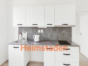 Pronájem bytu 1+kk, Ostrava - Poruba, Hlavní třída, 21 m2
