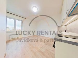 Pronájem bytu 1+kk, Praha - Podolí, Levá, 27 m2