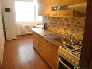 Pronájem bytu 1+1, Brno, Vondrákova, 38 m2