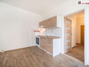 Pronájem bytu 1+1, České Budějovice - České Budějovice 2, M. Chlajna, 38 m2