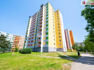 Pronájem bytu 1+1, České Budějovice - České Budějovice 2, M. Chlajna, 38 m2