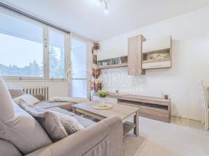 Prodej bytu 1+kk, Kladno - Kročehlavy, U Hvězdy, 41 m2
