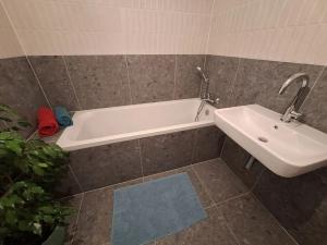 Pronájem bytu 1+kk, Brno, Bratislavská, 39 m2