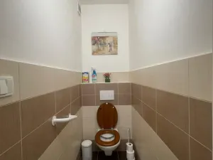 Pronájem bytu 2+kk, Český Brod, Palackého, 60 m2