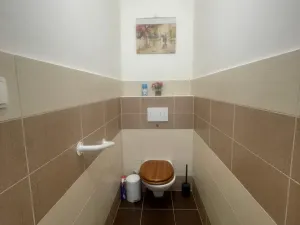 Pronájem bytu 2+kk, Český Brod, Palackého, 60 m2