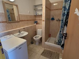 Pronájem bytu 1+kk, Opava, Nákladní, 33 m2