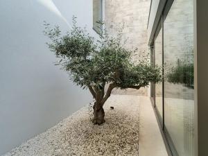 Prodej vily, Sevid, Chorvatsko, 460 m2