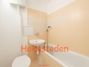 Pronájem bytu 1+1, Ostrava - Poruba, Dělnická, 28 m2
