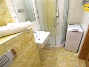 Pronájem bytu 1+kk, Všemina, 24 m2