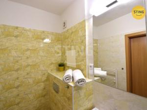 Pronájem bytu 1+kk, Všemina, 24 m2