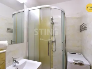 Pronájem bytu 1+kk, Všemina, 24 m2