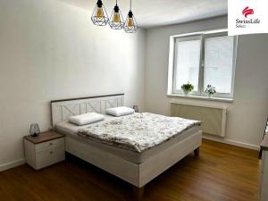 Pronájem bytu 2+kk, Frýdek-Místek, Pavlíkova, 55 m2