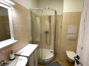 Pronájem bytu 2+kk, Frýdek-Místek, Pavlíkova, 55 m2