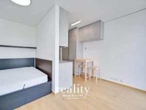 Pronájem bytu 1+kk, Brno, Trnitá, 24 m2