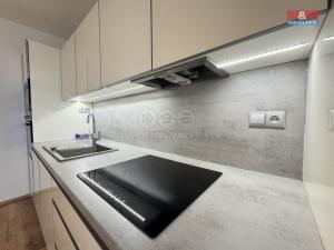 Pronájem bytu 1+kk, Ostrava, Ukrajinská, 49 m2