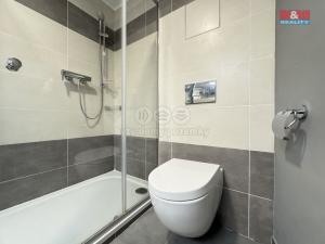 Pronájem bytu 1+kk, Ostrava, Ukrajinská, 49 m2