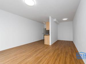 Pronájem bytu 1+kk, Plzeň - Skvrňany, Františka Kováříka, 44 m2