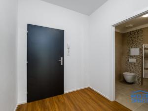 Pronájem bytu 1+kk, Plzeň - Skvrňany, Františka Kováříka, 44 m2