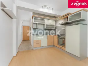 Prodej bytu 1+kk, Zlín, Podlesí II, 27 m2